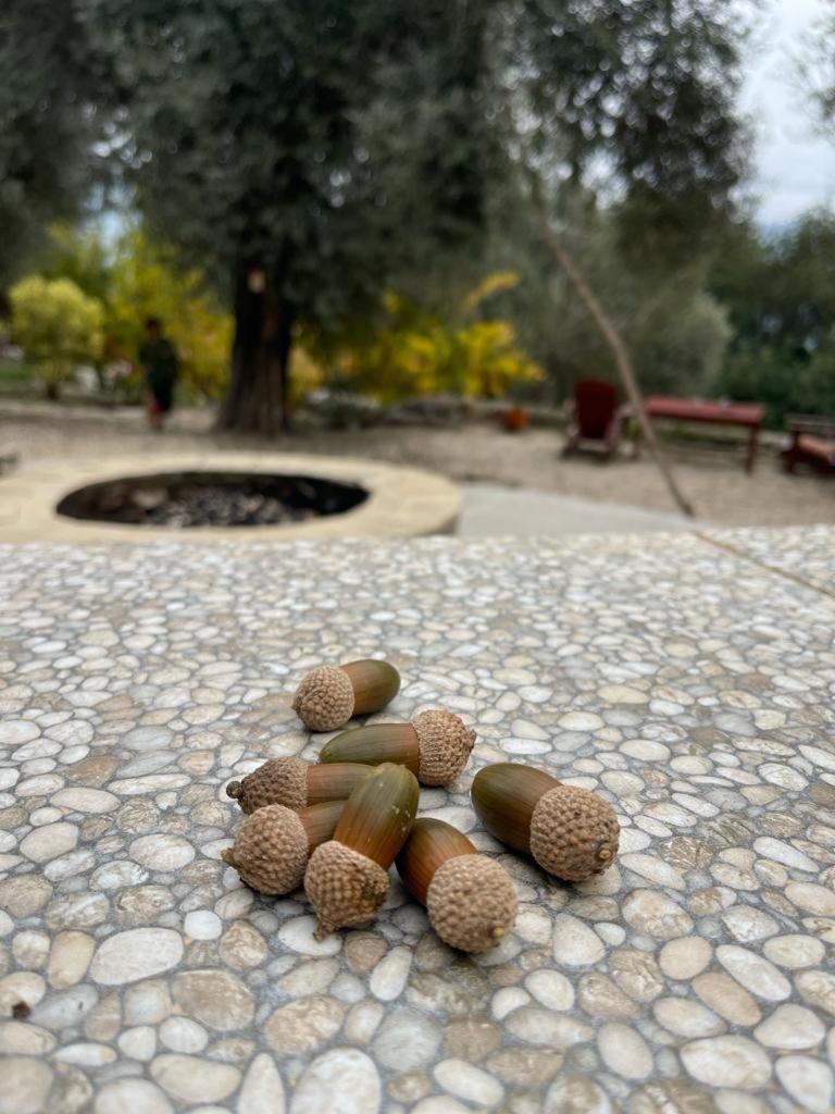 Antalya Bodrum Kayasi Dag Oteli Hasdumen Exterior foto