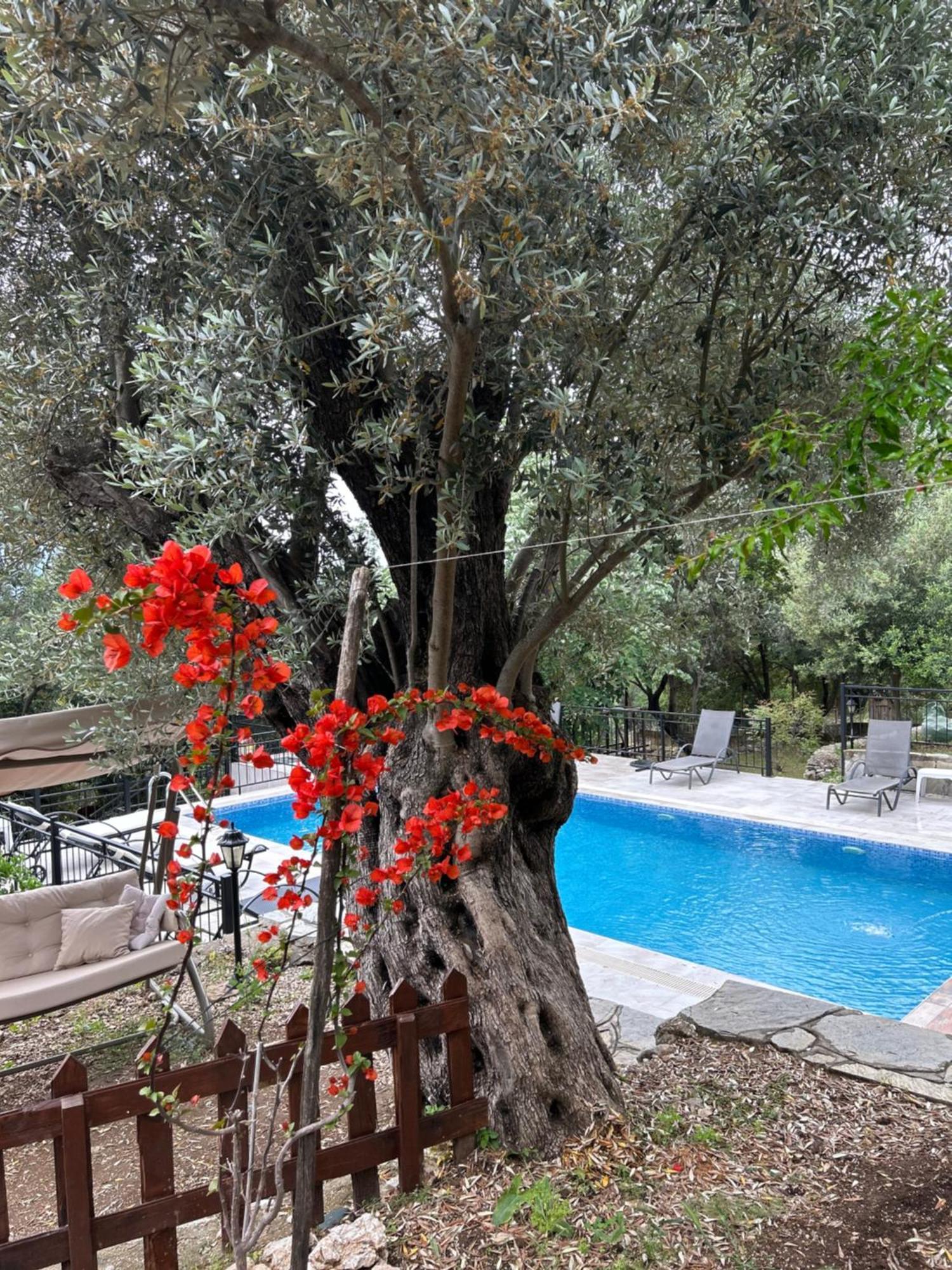 Antalya Bodrum Kayasi Dag Oteli Hasdumen Exterior foto